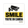 Sticker — "SMILE YOU'RE ON CAMERA" Security Camera Warning Die-Cut Sticker